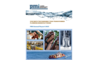 PMI annual report