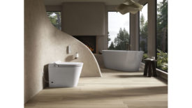 kohler leap toilet.jpg