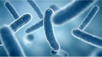 reducing Legionella risk