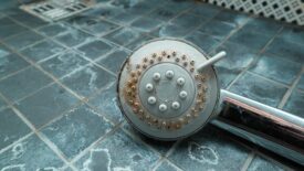 01 PME Feb 2024 David Dexter column: Dirty chrome shower head with limescale