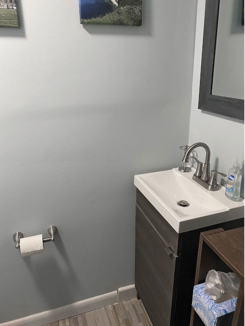 Saniflo CS Cariola In-Law Suite. The vanity is the second fixture connected to the Saniaccess 2. The macerator and pump also handles the gray-water drainage from the sink.