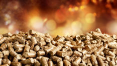 Pellets Biomass- close up on background.