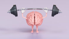 Cartoon Brain Lifting Weights on a Purple Background