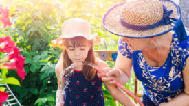 Grandmother and granddaughter in the garden, the little girl drinking water from a hose.